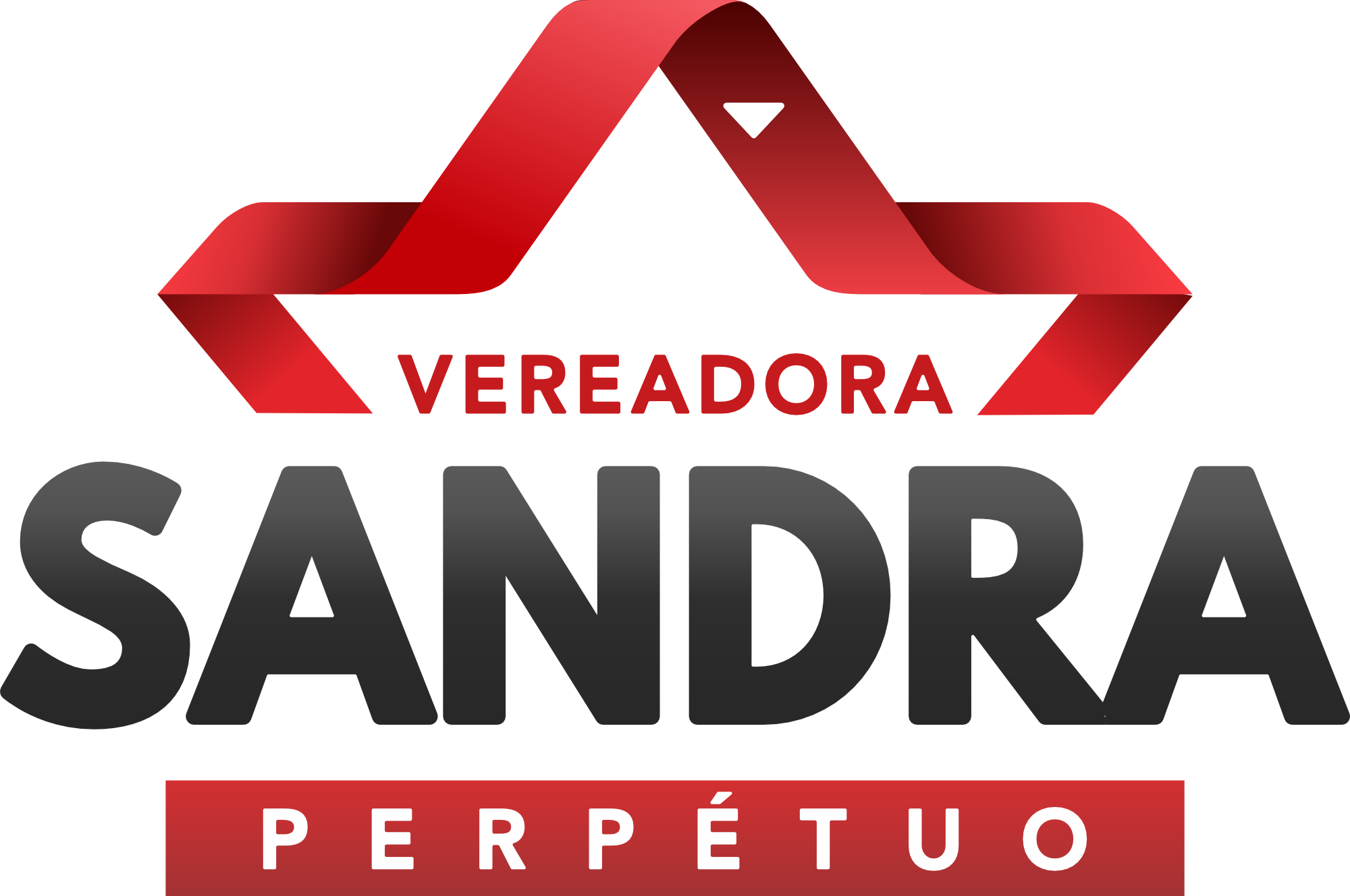 Vereadora Sandra Perpétuo